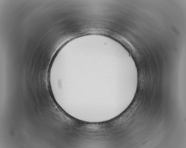 X0000111391182200908211355