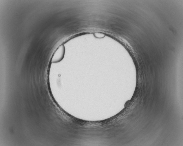 X0000111391183200908211355