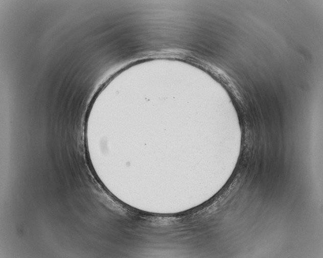 X0000111391184200908211355