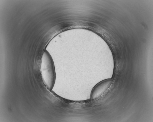 X0000111391185200908211355