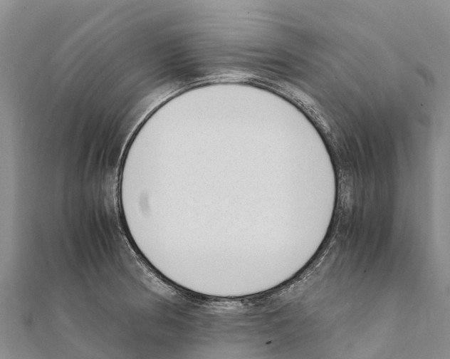 X0000111391186200908211355