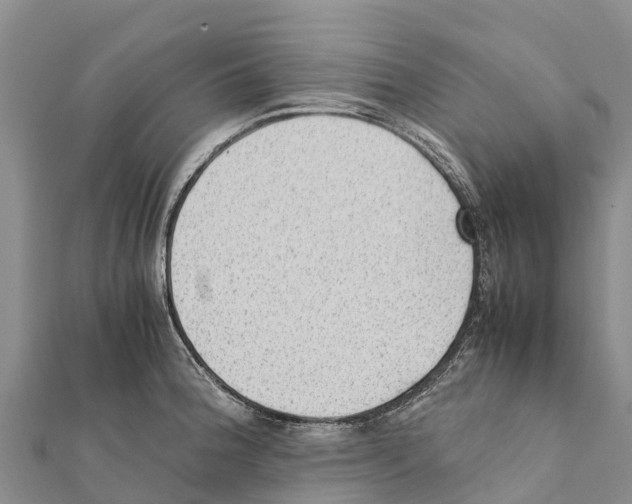 X0000111391188200908211355