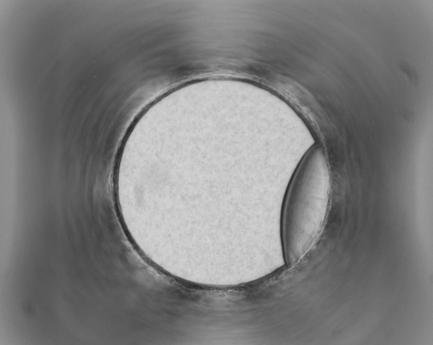 X0000111391189200908211355
