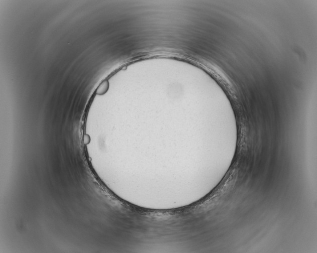 X0000111391190200908211355