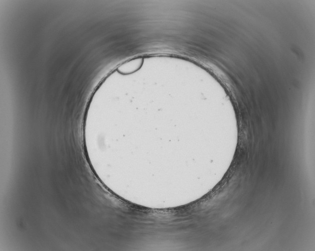 X0000111391191200908211355