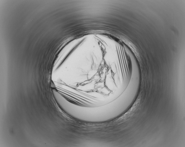X0000111391193200908211355