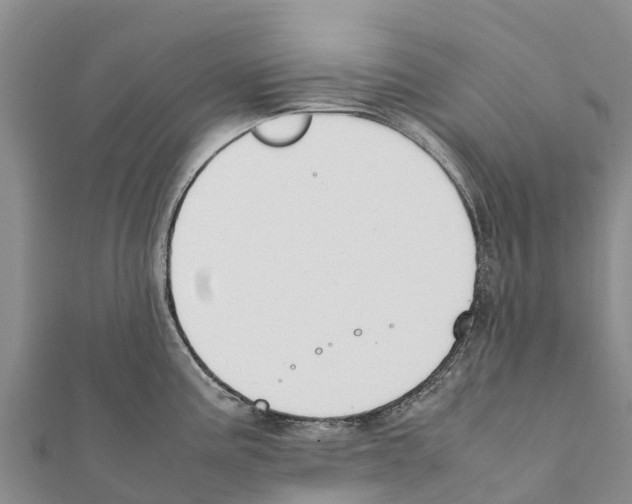 X0000111391195200908211355