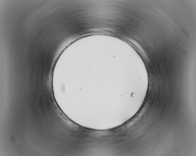 X0000111391196200908211355