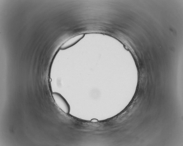 X0000111391197200908211355