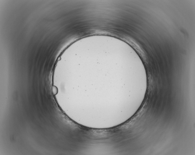 X0000111391198200908211355