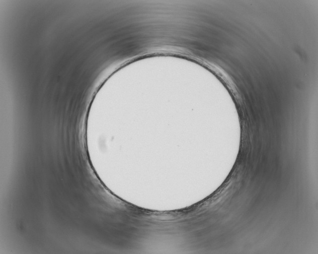 X0000111391199200908211355