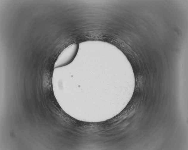 X0000111391202200908211354