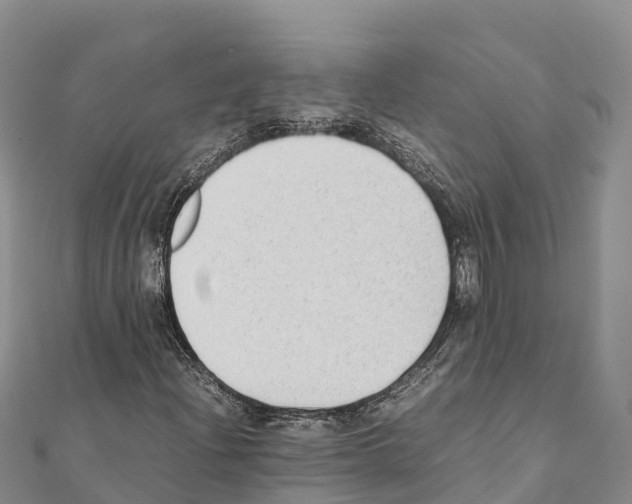 X0000111391204200908211354