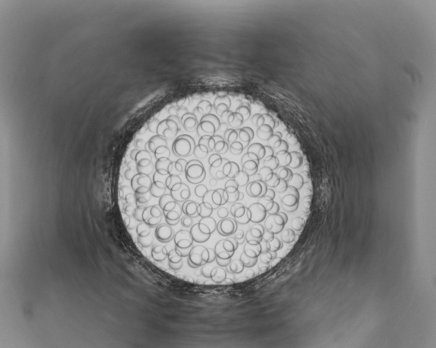 X0000111391205200908211354