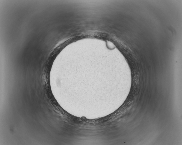 X0000111391206200908211354