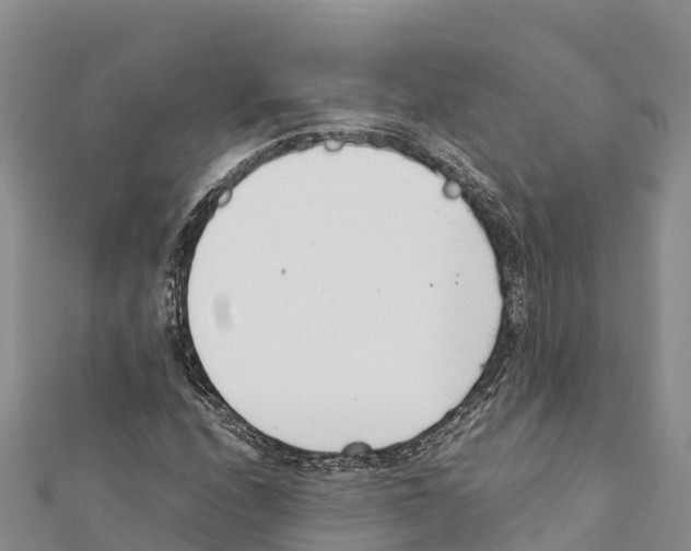 X0000111391208200908211354