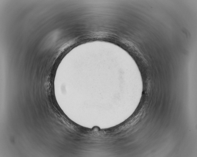 X0000111391210200908211354