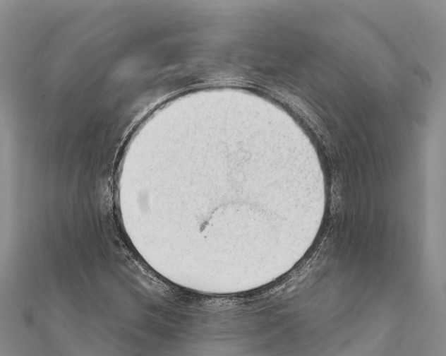 X0000111391212200908211354