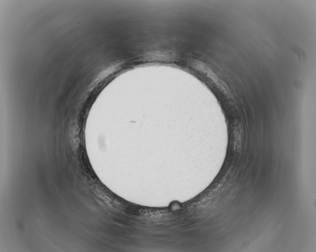 X0000111391213200908211354