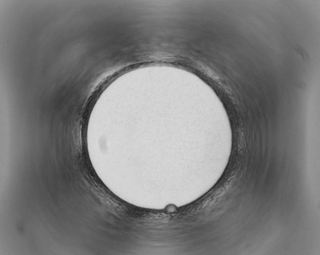X0000111391214200908211354