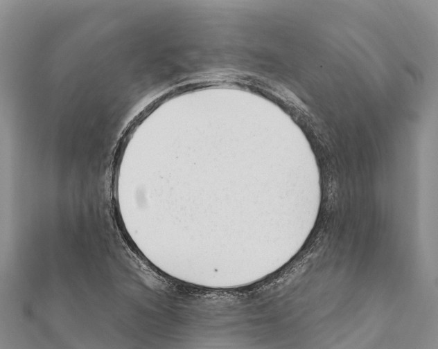 X0000111391216200908211354