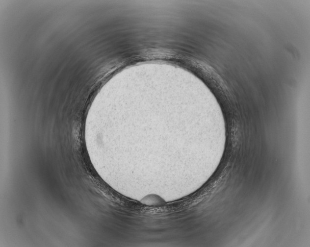 X0000111391217200908211354
