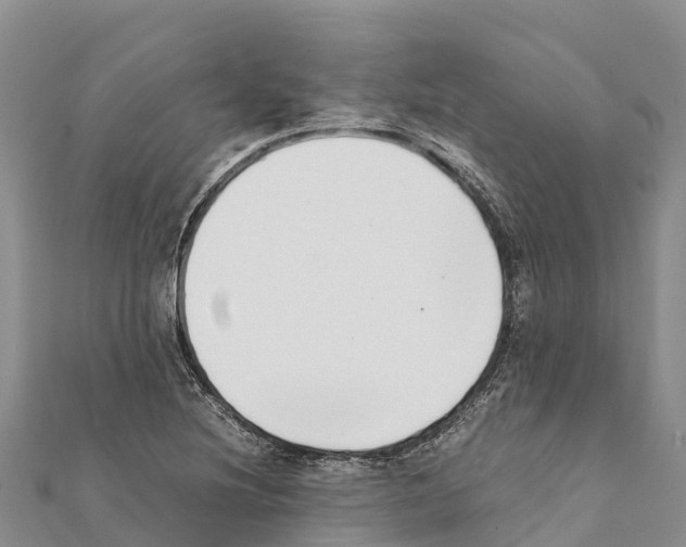 X0000111391220200908211354