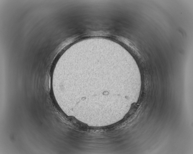 X0000111391221200908211354