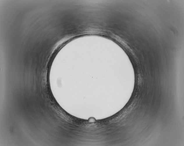 X0000111391222200908211354