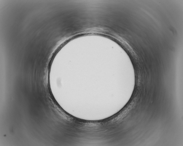X0000111391224200908211354