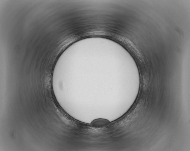 X0000111391225200908211354