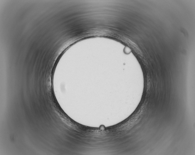 X0000111391226200908211354
