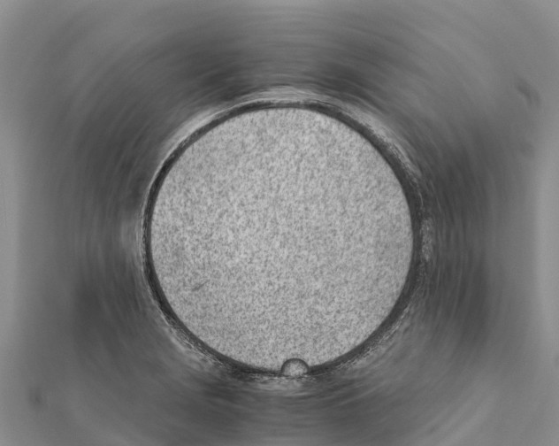 X0000111391229200908211354