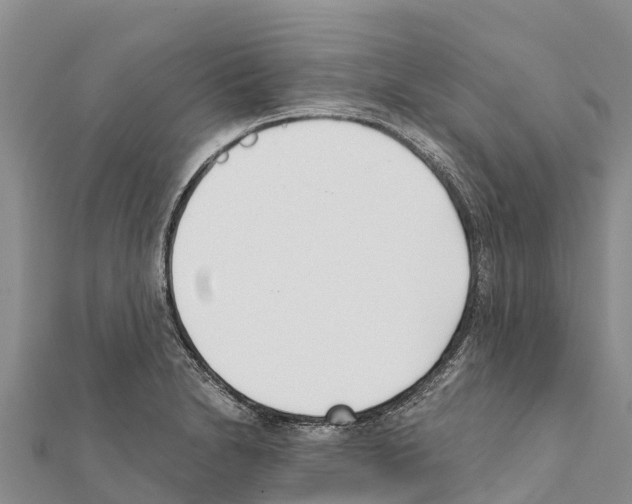 X0000111391230200908211354