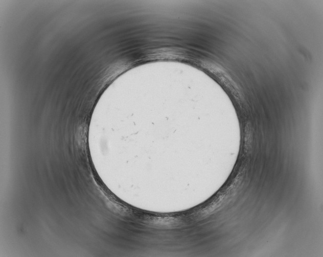X0000111391233200908211354