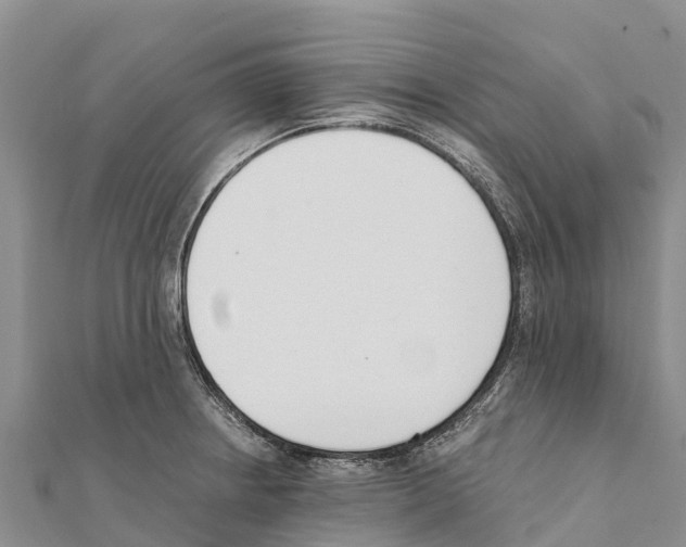 X0000111391234200908211354