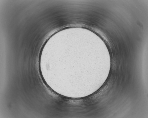 X0000111391237200908211355