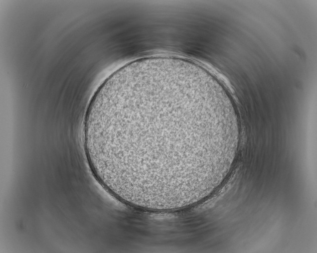 X0000111391239200908211355