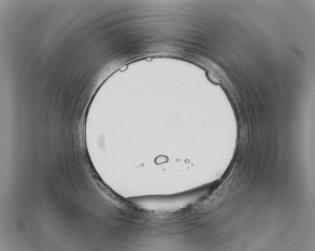 X0000111391242200908211355
