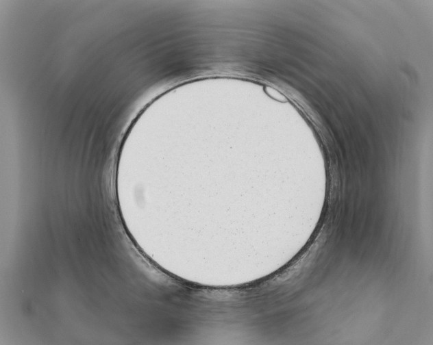 X0000111391246200908211355