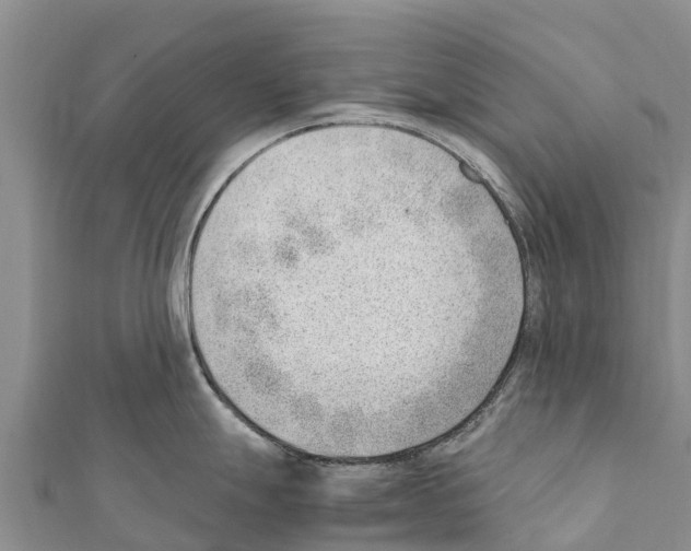 X0000111391247200908211355
