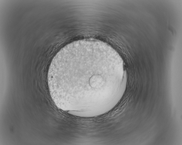 X0000111391249200908211354