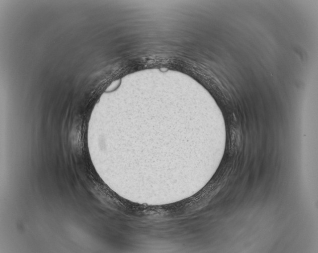X0000111391250200908211354
