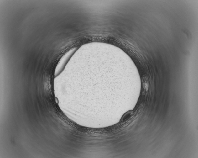 X0000111391252200908211354