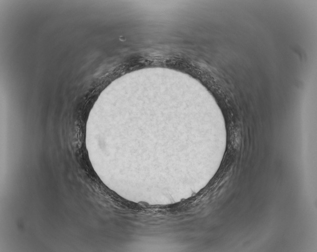 X0000111391253200908211354