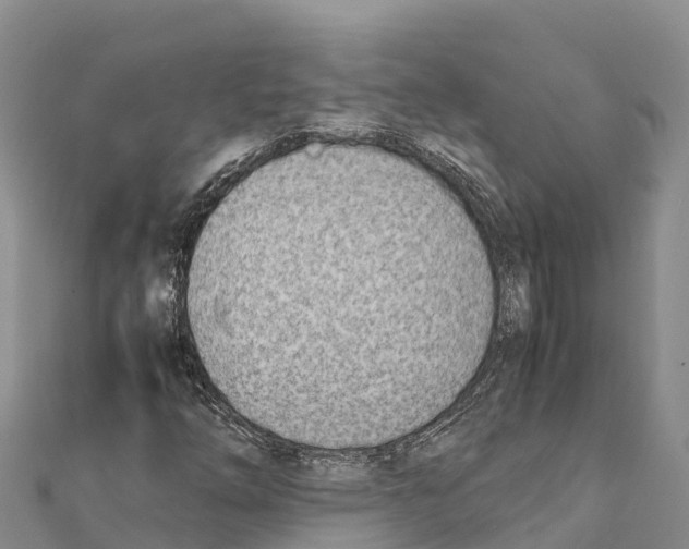 X0000111391254200908211354