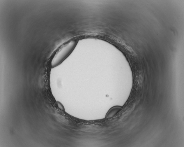 X0000111391256200908211354