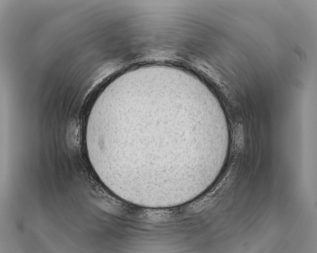 X0000111391258200908211354