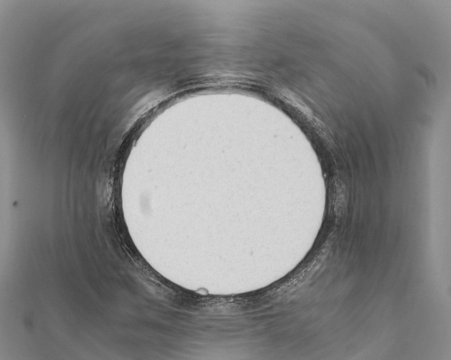 X0000111391259200908211354