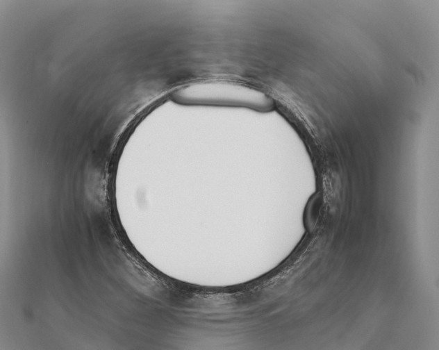 X0000111391260200908211354
